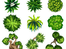 shutterstock_243691279
